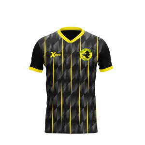 Holwell Sports FC Training Shirt