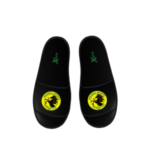 Holwell Sports FC Slides