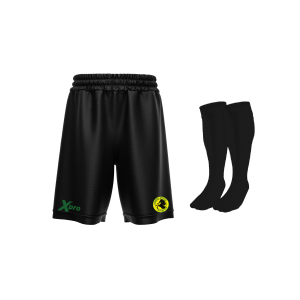 Holwell Sports FC Training Shorts and Socks BLACK option 2