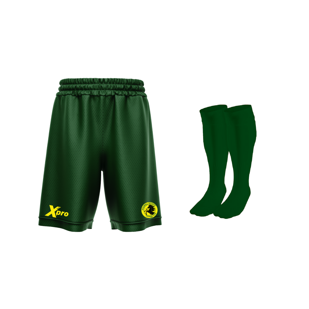 Holwell Sports FC Training Shorts and Socks GREEN